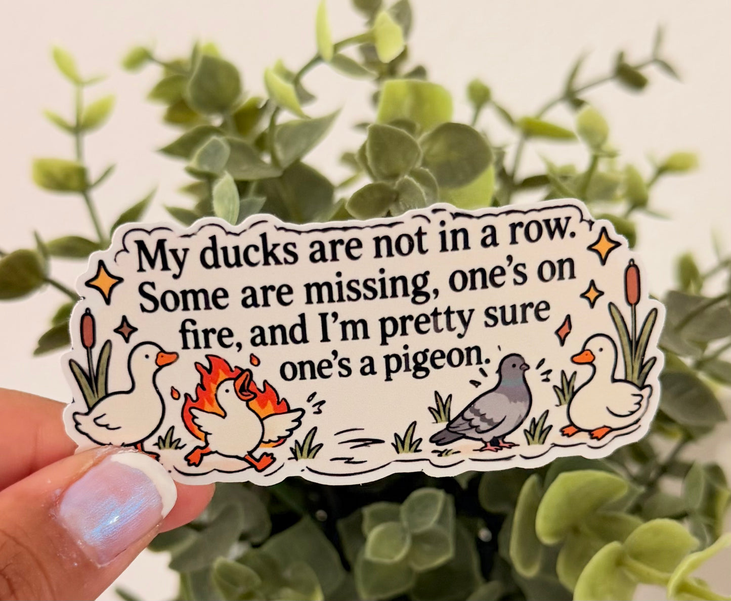 My Ducks Are Not In A Row