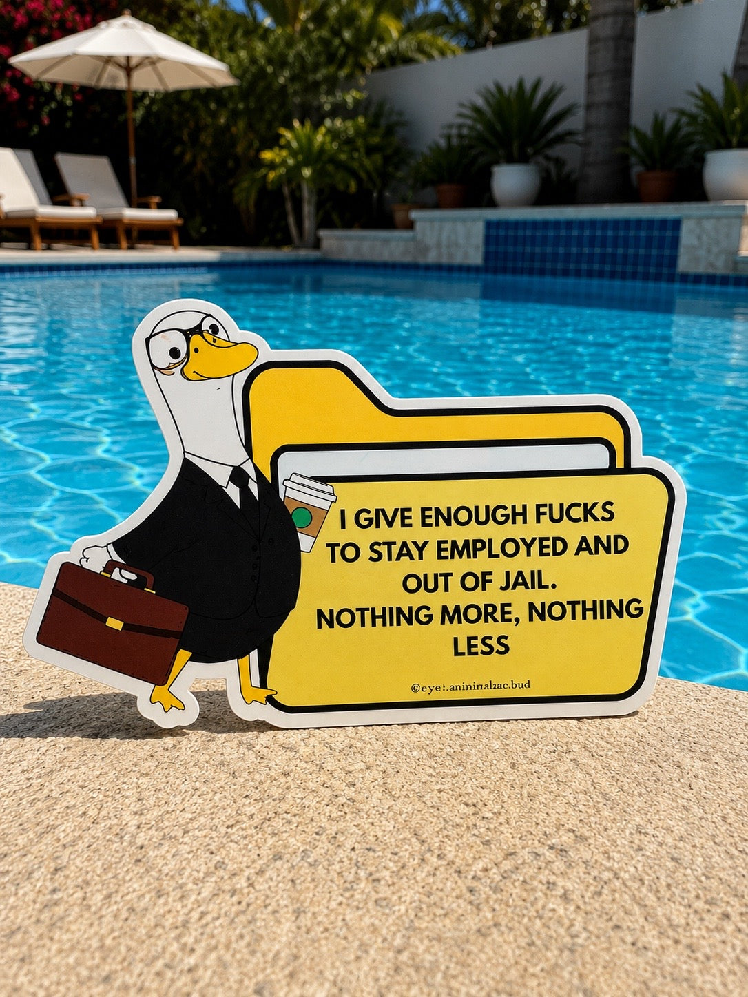 I Give Enough Fcks Sticker 2.7”